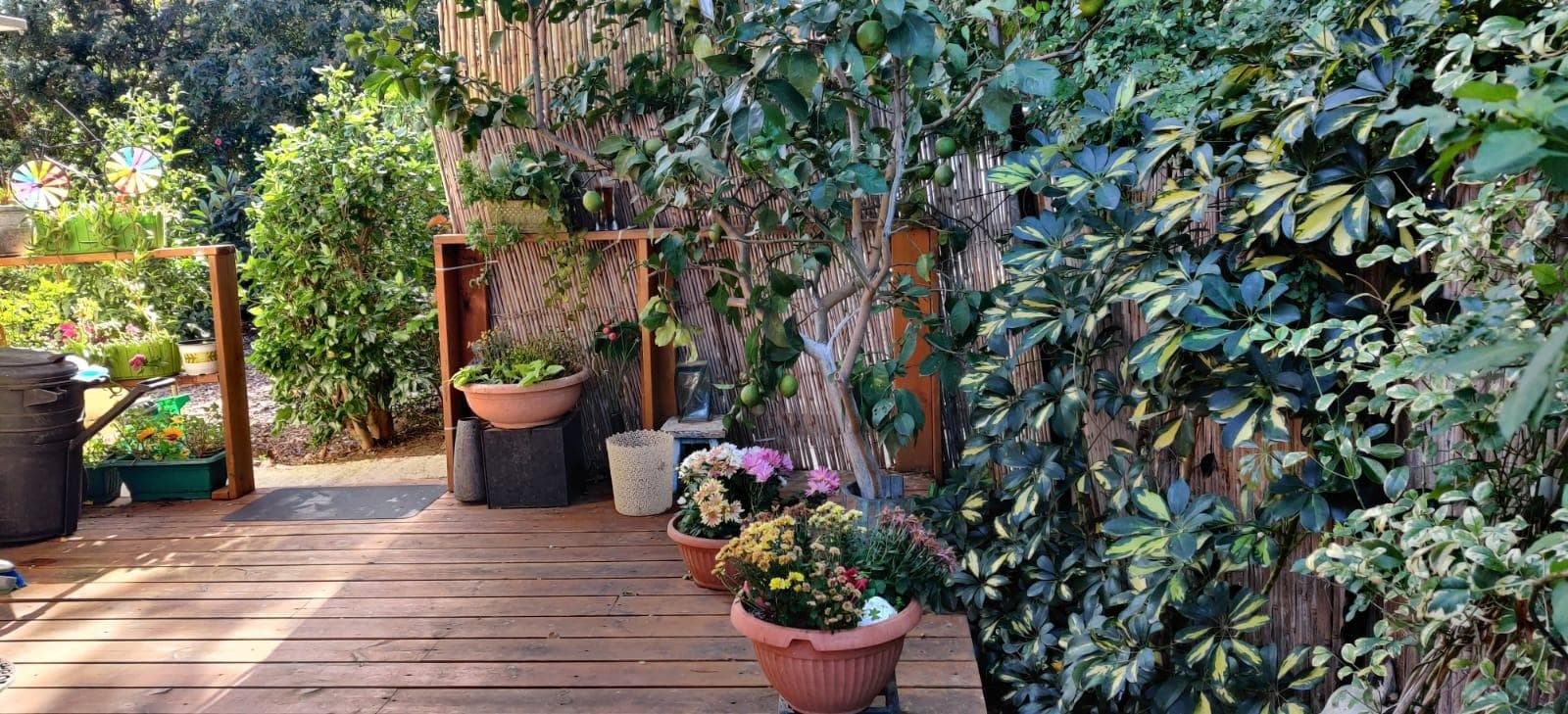 צימר ביו בכפר