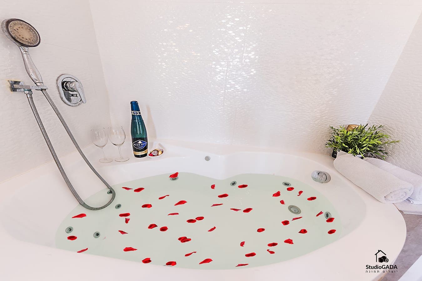 אהבה על שפת כנרת